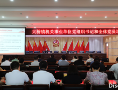大桥镇举办党组织建设专题培训 筑牢基层发展根基