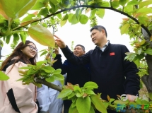 王伟明：以实干绘就圩东振兴新画卷