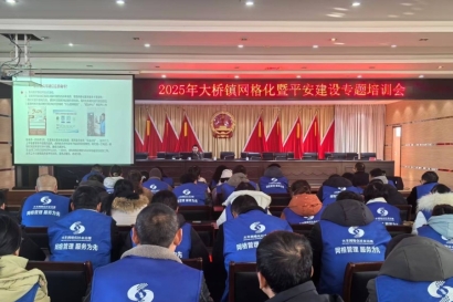 大桥镇举办网格化与平安建设专题培训