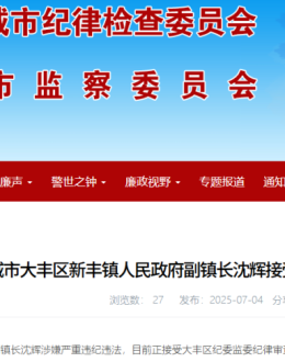 新丰镇副镇长沈辉接受纪律审查和监察调查