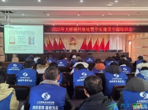 大桥镇举办网格化与平安建设专题培训