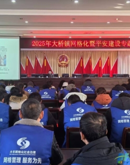 大桥镇举办网格化与平安建设专题培训