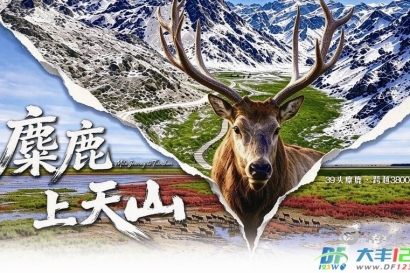 区融媒体中心纪录片《麋鹿上天山》在南京“出圈”