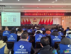 大桥镇举办网格化与平安建设专题培训
