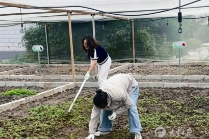 丰收大地共享菜园打造沉浸式农旅体验