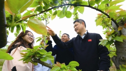 王伟明：以实干绘就圩东振兴新画卷