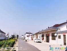 大桥镇：清洁攻坚见实效 和美乡村加速跑