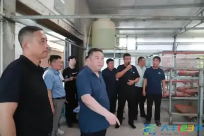 大桥镇：擂台比武亮实绩 产业比拼促振兴