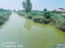 草庙镇镇级河长形同虚设 多条河道水质“绿油油”