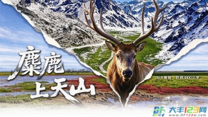 区融媒体中心纪录片《麋鹿上天山》在南京“出圈”