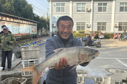 振兴路上丨西团镇西灵村：同筑鱼水情 润泽百家心