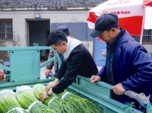 丰华街道：地标蒜薹迎丰收 畅通销路助振兴