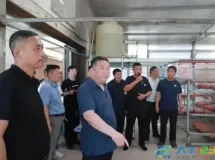 大桥镇：擂台比武亮实绩 产业比拼促振兴